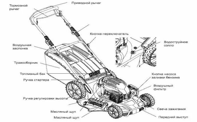 image (7).png