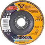 Круг лепестковый торцевой КЛТ1 125х22мм P60 БАЗ ZIRCONIUM TOP COOL ZD20XW 00-00276265
